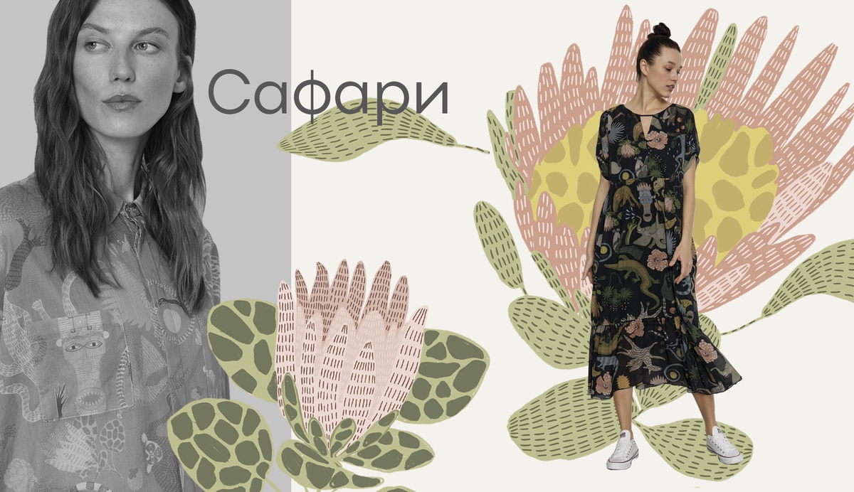 Обложка для капсулы Сафари