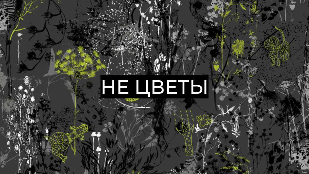 Обложка для капсулы Не цветы