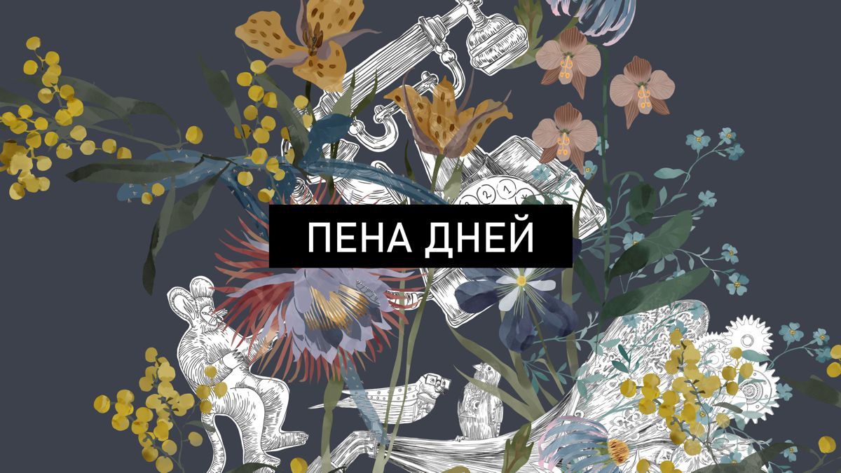 Обложка для капсулы Пена дней