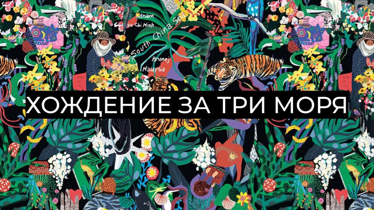 Обложка для капсулы Хождение за три моря