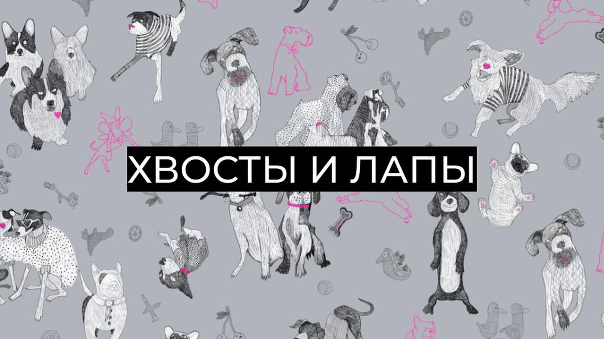 Обложка для капсулы Хвосты и лапы